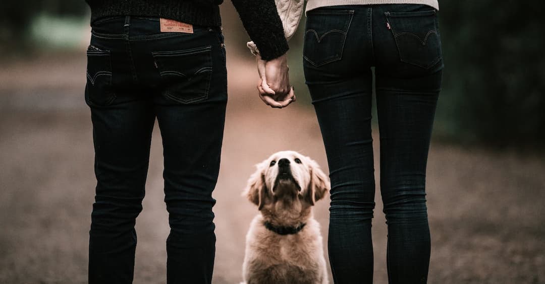 Najpiękniejsze cytaty biblijne o miłości - jak kochać bliźniego swojego?