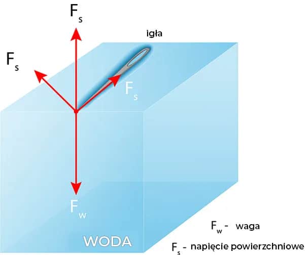 Wszystko co musisz wiedzieć o zjawisku napięcia powierzchniowego - kompendium