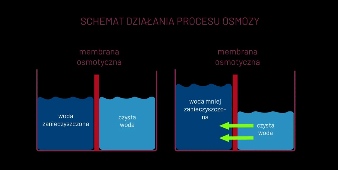Czym tak naprawdę jest zjawisko osmozy i jak działa w życiu codziennym