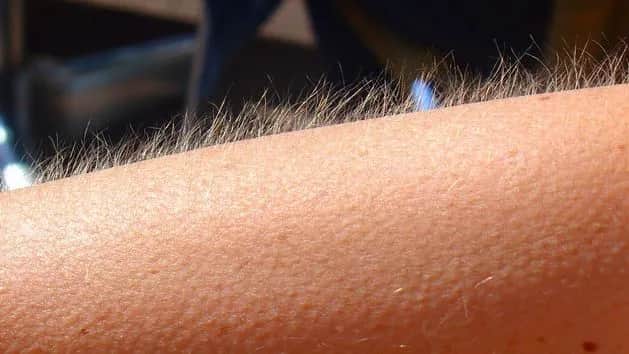 Gęsia skórka po angielsku? Idiomy, które zmrożą ci krew w żyłach