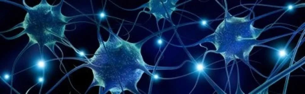 Zjawisko Uhthoffa przy SM: co musisz wiedzieć o wpływie temperatury na objawy